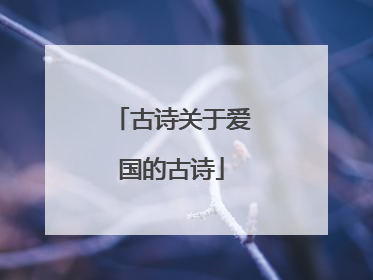 古诗关于爱国的古诗