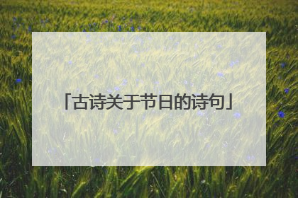 古诗关于节日的诗句