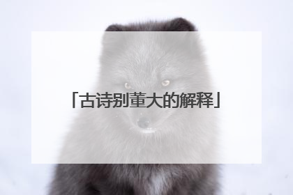 古诗别董大的解释