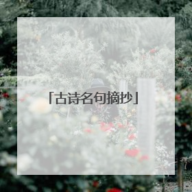 古诗名句摘抄