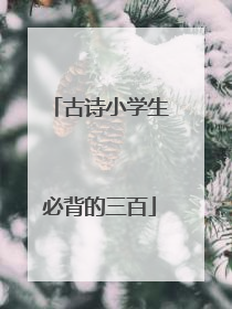 古诗小学生必背的三百