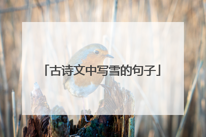 古诗文中写雪的句子