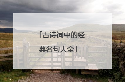 古诗词中的经典名句大全