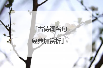 古诗词名句经典加赏析