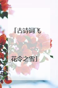 古诗词飞花令之雪