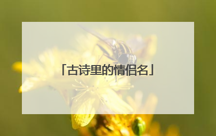 古诗里的情侣名
