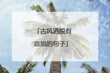 古风洒脱有意境的句子