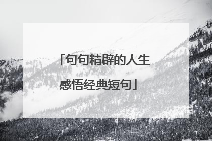 句句精辟的人生感悟经典短句