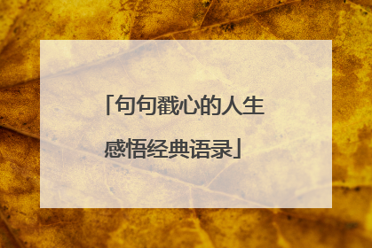 句句戳心的人生感悟经典语录
