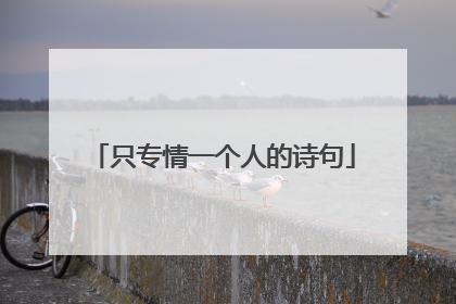 只专情一个人的诗句