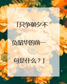 只争朝夕不负韶华的前一句是什么?