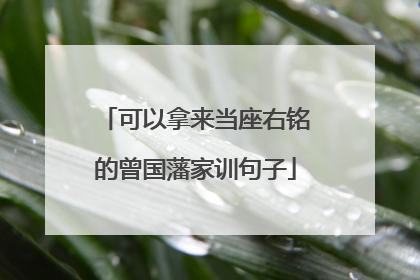 可以拿来当座右铭的曾国藩家训句子