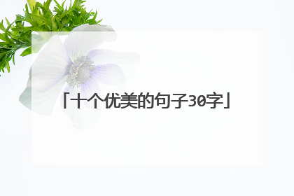 十个优美的句子30字