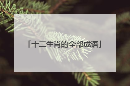 十二生肖的全部成语