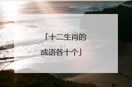 十二生肖的成语各十个