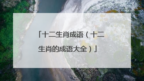 十二生肖成语(十二生肖的成语大全)