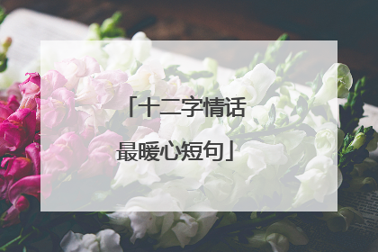 十二字情话最暖心短句