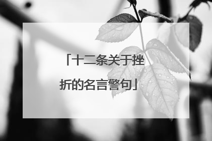 十二条关于挫折的名言警句