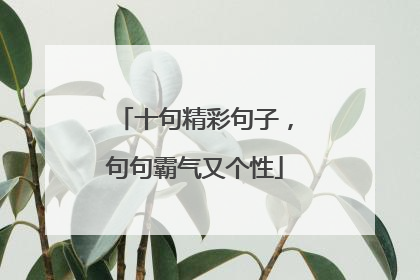 十句精彩句子,句句霸气又个性