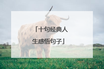 十句经典人生感悟句子