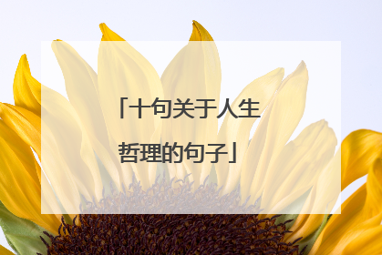 十句关于人生哲理的句子