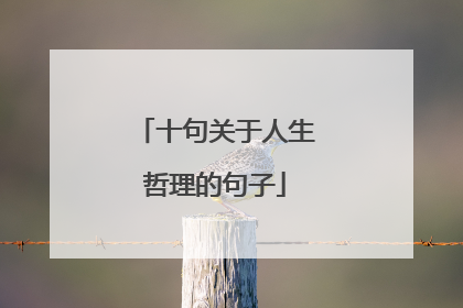 十句关于人生哲理的句子