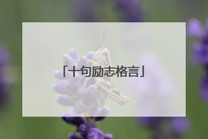 十句励志格言