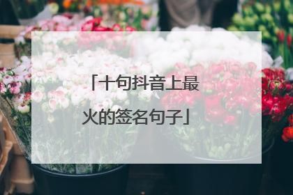 十句抖音上最火的签名句子