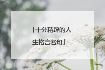 十分精辟的人生格言名句