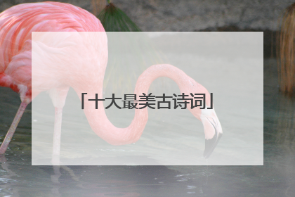 十大最美古诗词