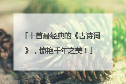 十首最经典的《古诗词》,惊艳千年之美!