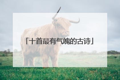 十首最有气魄的古诗