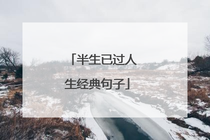半生已过人生经典句子