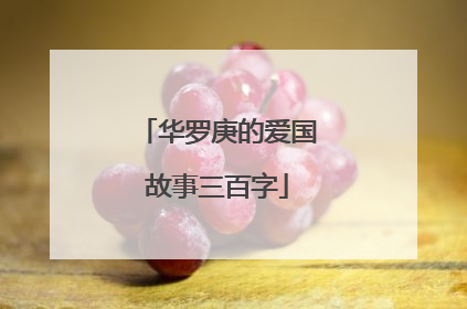 华罗庚的爱国故事三百字