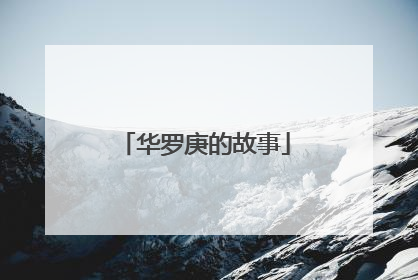 华罗庚的故事