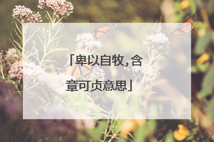 卑以自牧,含章可贞意思