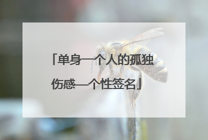 单身一个人的孤独伤感——个性签名
