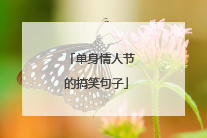 单身情人节的搞笑句子