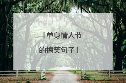 单身情人节的搞笑句子