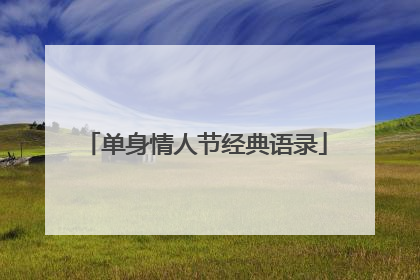 单身情人节经典语录
