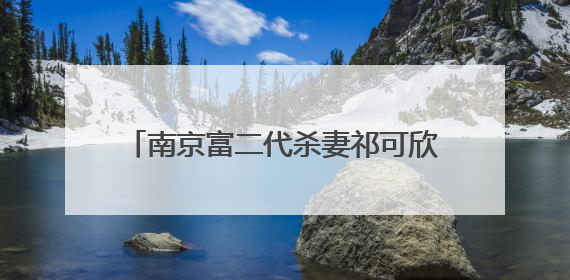 南京富二代杀妻祁可欣案为什么没有判死刑?