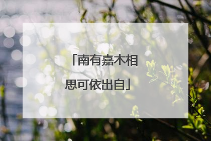 南有嘉木相思可依出自