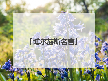 博尔赫斯名言
