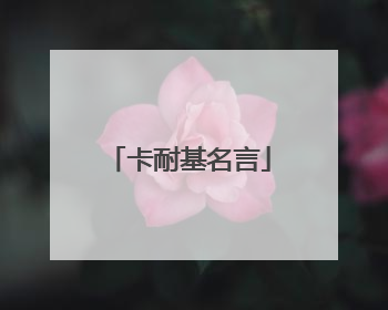 卡耐基名言