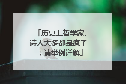 历史上哲学家、诗人大多都是疯子,请举例详解