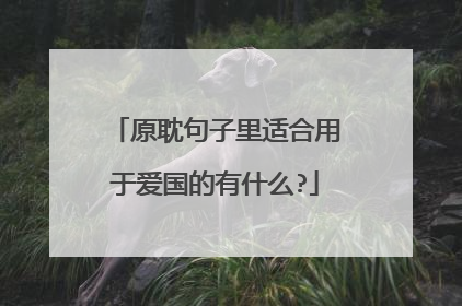 原耽句子里适合用于爱国的有什么?