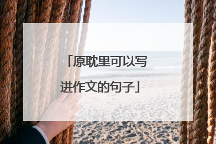 原耽里可以写进作文的句子