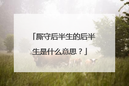 厮守后半生的后半生是什么意思?