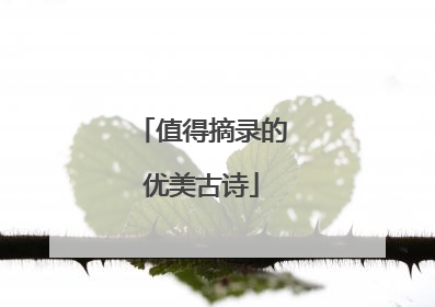 值得摘录的优美古诗