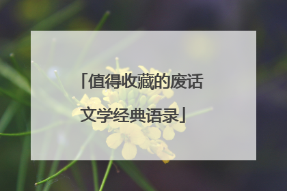 值得收藏的废话文学经典语录